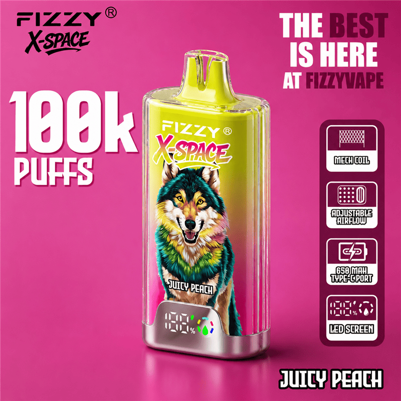 Fizzy X-Space 100K Puff Disposable Vaper Rechargeable