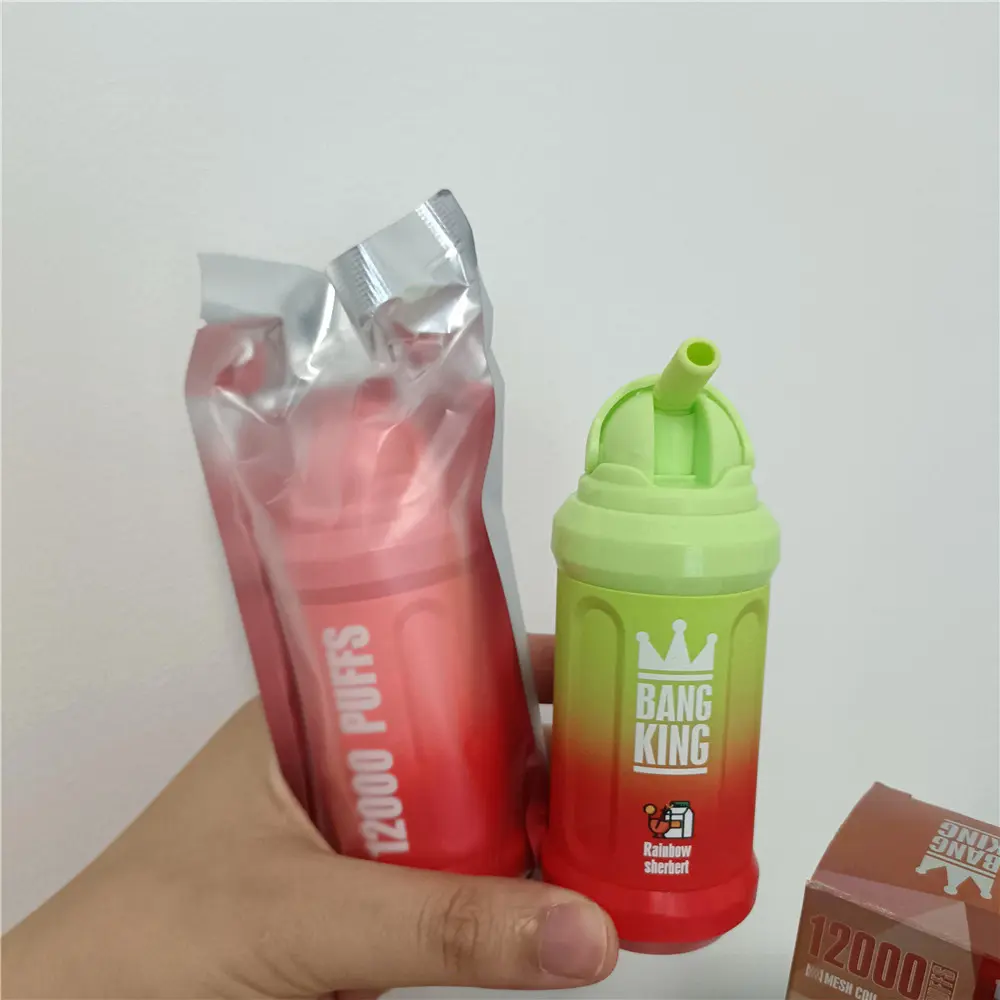 France Wholesale Bang King 12000 Puffs Disposable Vape