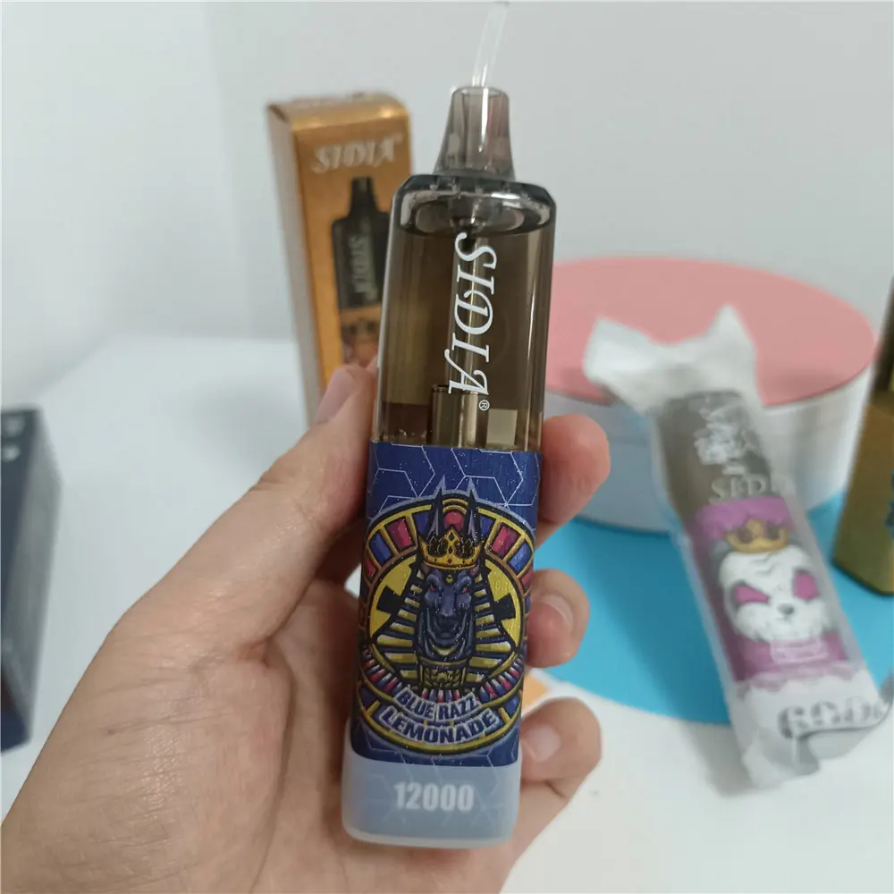 France Best Sale 12000 Puffs SIDIA vape