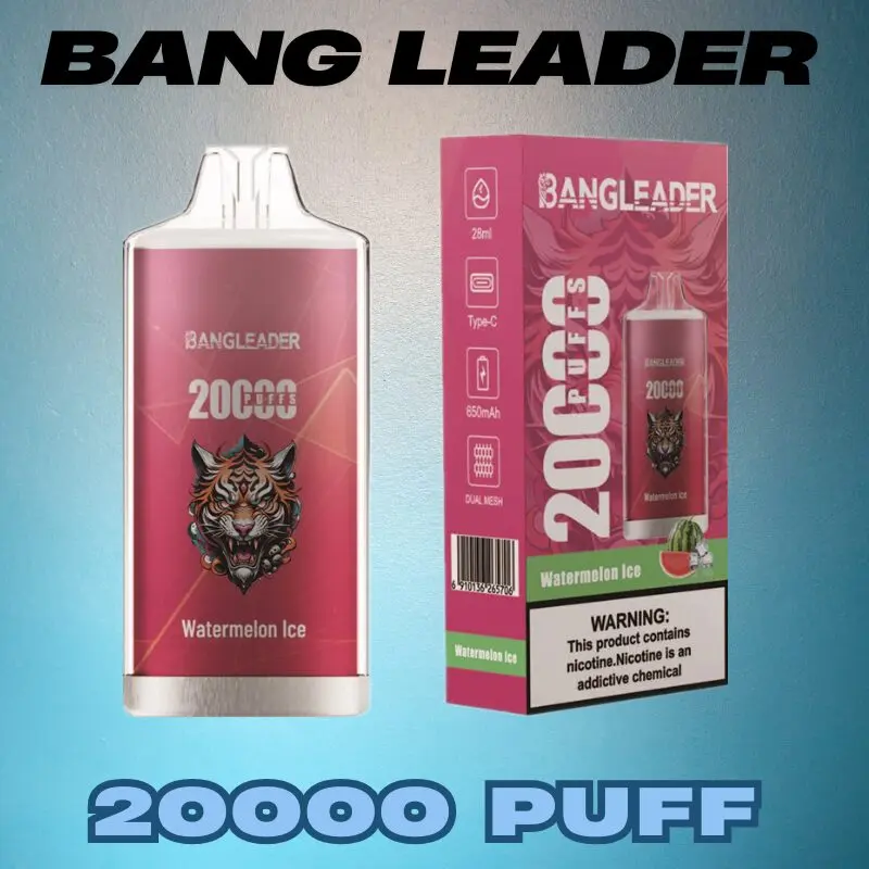 Bang Vape 20k 20000 Bouffées Vape Jetable en Gros