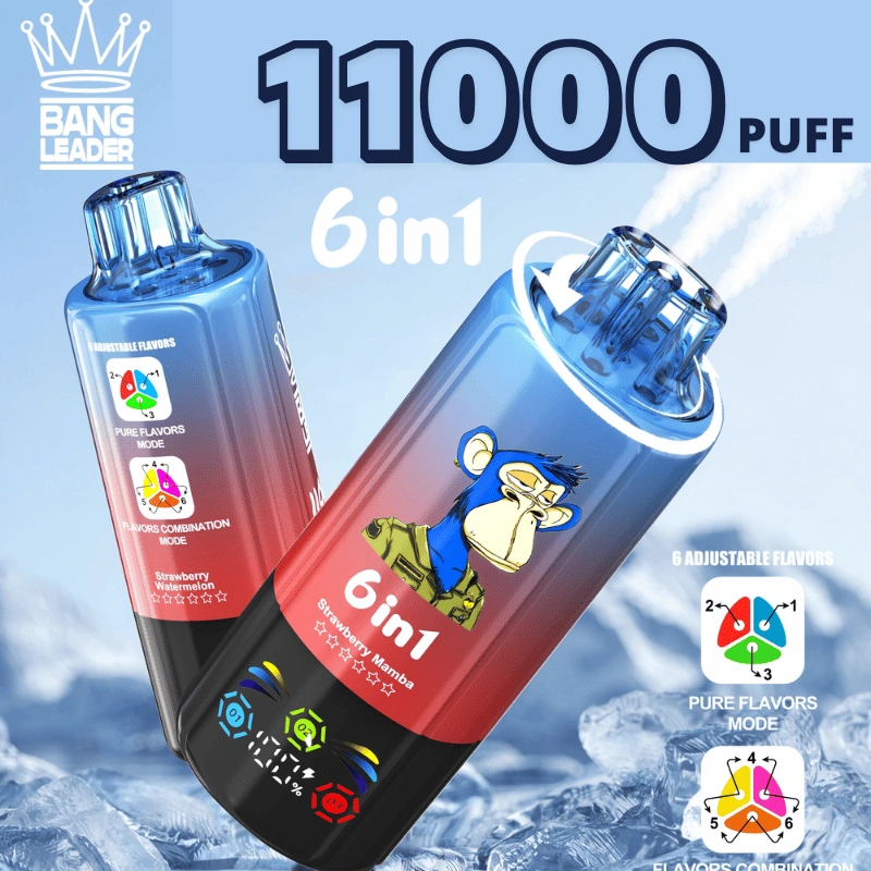 Bang Leader 110k Puffs Disposable Vapes Wholesale