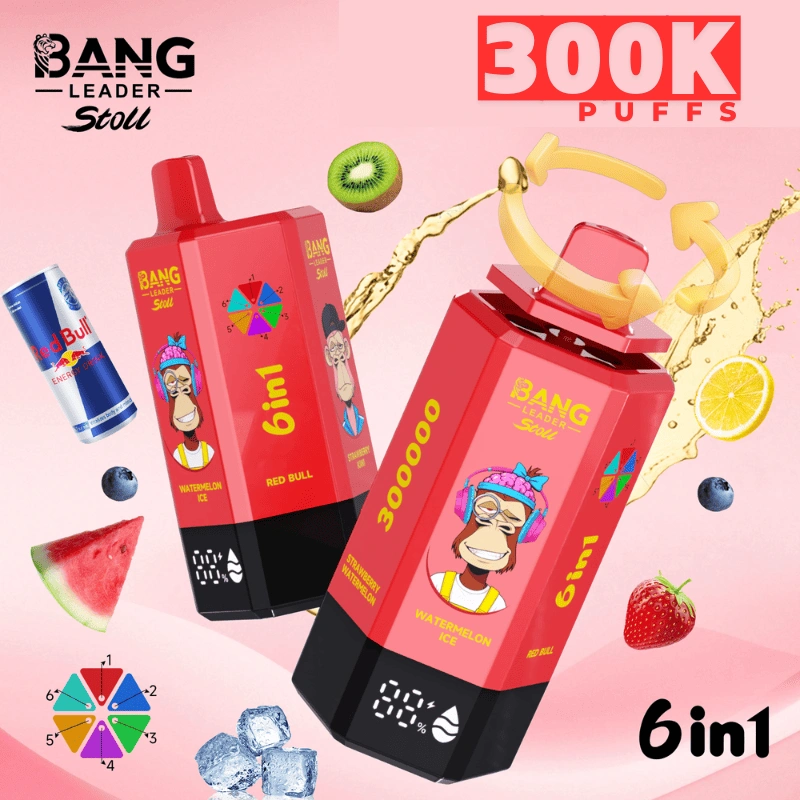 Bang Leader Stoll 300000 300K Puffs 6 in 1 Disposable Vape