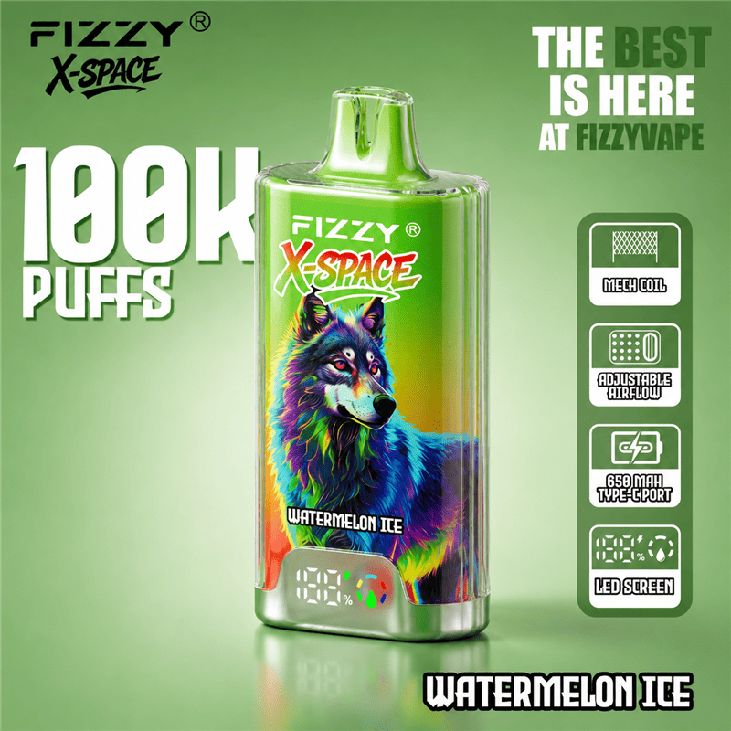 Fizzy X-Space 100K Puff Disposable Vapes Wholesale